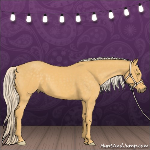 Horse Color:Palomino 