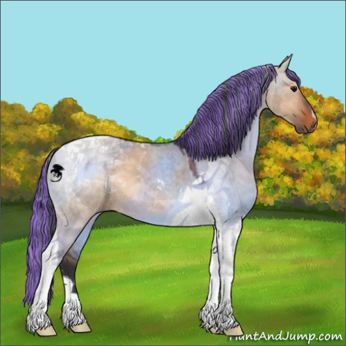 Horse Color:Painted Bay Dun Tobiano 