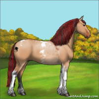 Horse Color:Painted Bay Dun Tobiano 