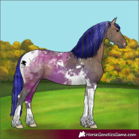 Horse Color:Painted Brown Dun Tobiano 