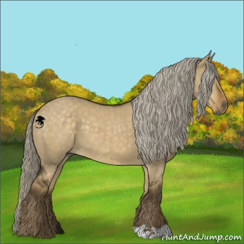 Horse Color:Chocolate Palomino Dun 