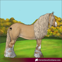 Horse Color:White Spotted Chocolate Palomino Dun 