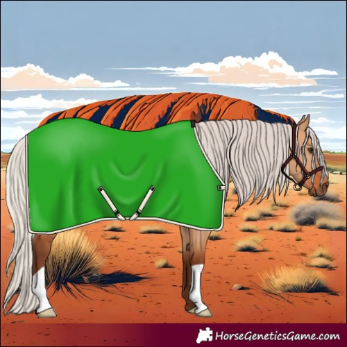 Horse Color:Silver Bay Dun 