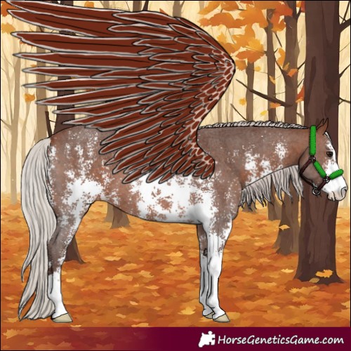 Horse Color:Silver Brown Sabino 