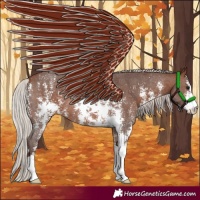 Horse Color:Silver Brown Sabino
