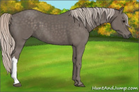 Horse Color:Silver Black 