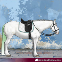 Horse Color:Watercolor White Spotted Bay 