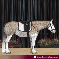Horse Color:Bay Ice Onyx Splash 