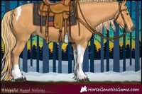 Horse Color:Chestnut Tobiano