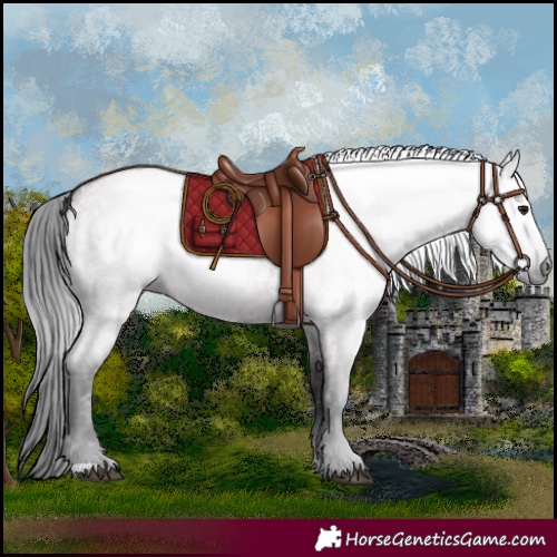 Horse Color:Gray Grullo Roan