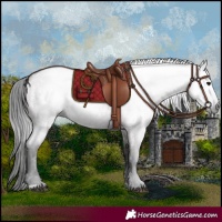 Horse Color:Gray Grullo Roan 