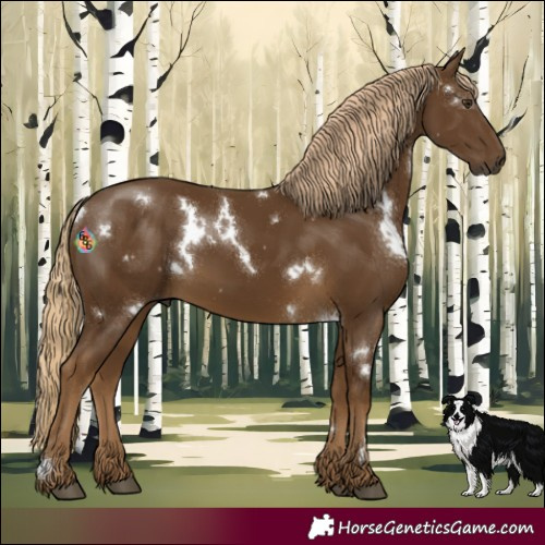 Horse Color:White Spotted Chocolate Palomino 