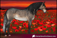 Horse Color:Gray Brown Roan Dun Mushroom Sabino Brindle