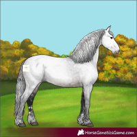 Horse Color:Gray Brown Ice 