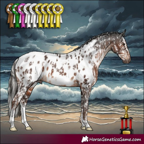 Horse Color:Gray Silver Brown Dun Sabino  and White Spotted Liver Chestnut Near Leopard 