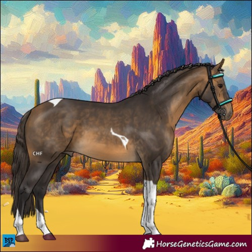 Horse Color:Buckskin Tobiano 