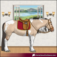 Horse Color:Bay Dun Tobiano Rabicano