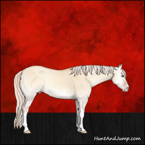 Horse Color:Silver Classic Champagne Onyx Splash Frame 