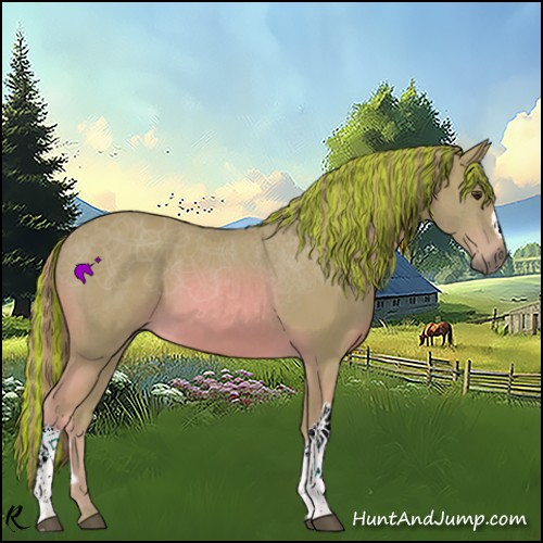 Horse Color:Painted Watercolor Chestnut