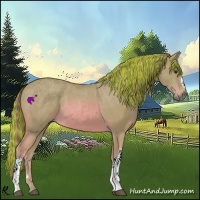 Horse Color:Painted Watercolor Chestnut 