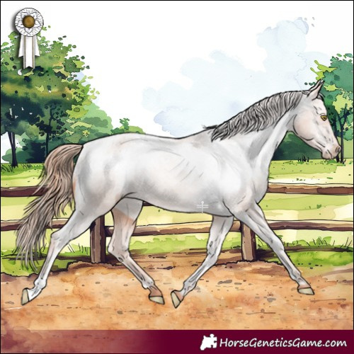 Horse Color:Gold Champagne Appaloosa 