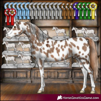 Horse Color:Liver Red Dun Sabino Leopard 