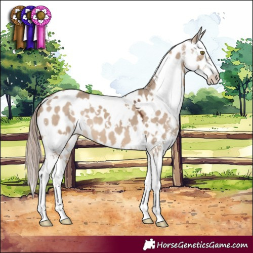 Horse Color:White Spotted Liver Red Dun Sabino Leopard 