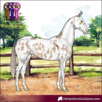 Horse Color:White Spotted Liver Red Dun Sabino Leopard 