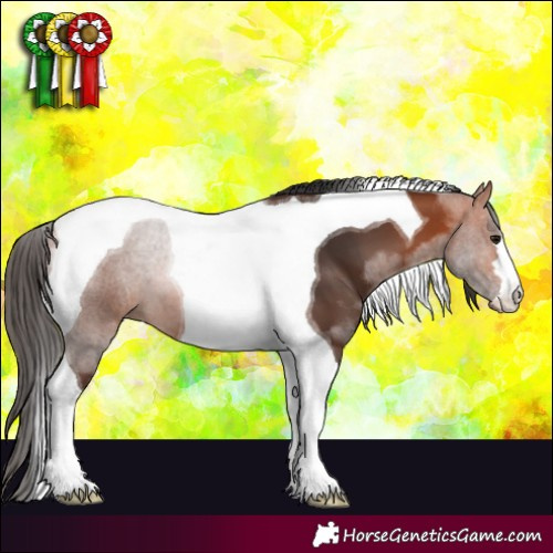 Horse Color:Bay Tobiano 