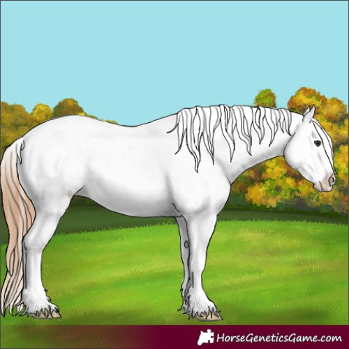 Horse Color:White Spotted Red Dun Ice Tobiano Blanket