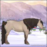 Horse Color:Sable Champagne Dun 
