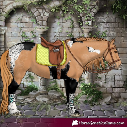 Horse Color:Chestnut Tobiano