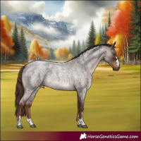 Horse Color:Liver Red Roan 
