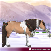 Horse Color:Bay Dun Tobiano 