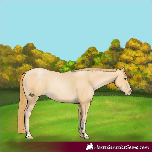 Horse Color:Smoky Black Pearl 