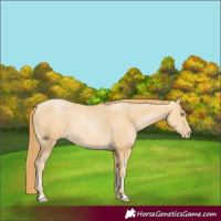 Horse Color:Smoky Black Pearl 