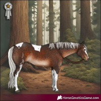 Horse Color:White Spotted Silver Brown Tobiano