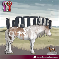Horse Color:White Spotted Silver Brown Dun 