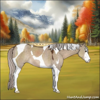 Horse Color:Silver Brown Dun Sabino Tobiano 
