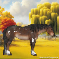 Horse Color:White Spotted Liver Chestnut Tobiano 