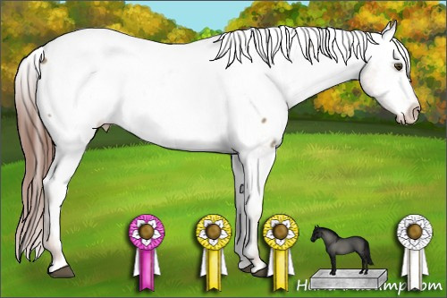 Horse Color:Red Dun Snowcap 