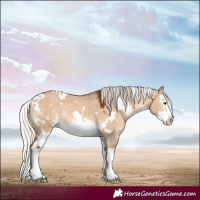 Horse Color:White Spotted Silver Bay Dun Sabino Splash Rabicano 