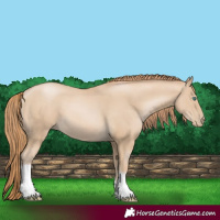 Horse Color:Smoky Black Pearl Tobiano 