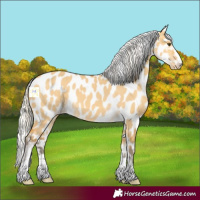 Horse Color:Silver Buckskin Dun Near Leopard 
