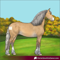 Horse Color:Silver Buckskin Dun 