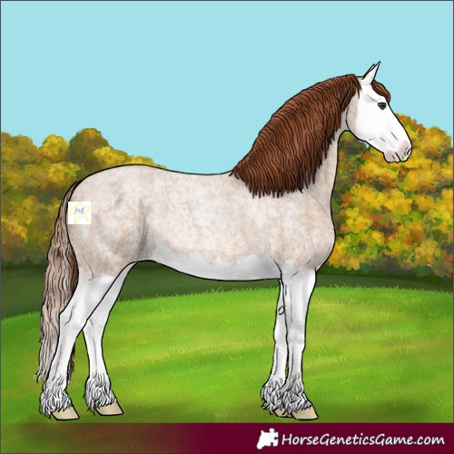 Horse Color:Red Dun Ice Roan Splash 