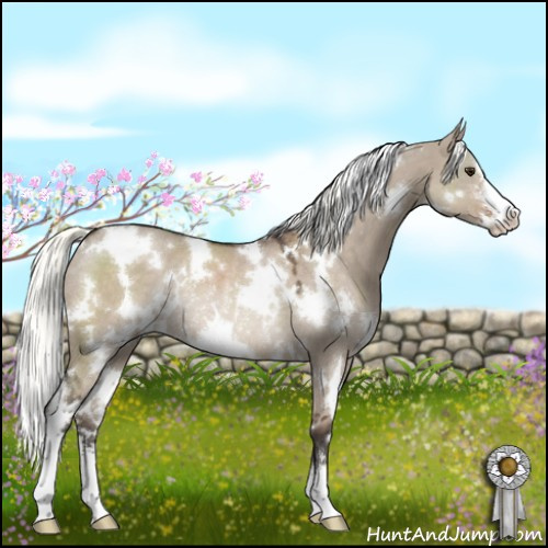 Horse Color:White Spotted Liver Red Dun Mushroom Sabino Rabicano 