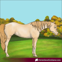 Horse Color:Smoky Black Pearl