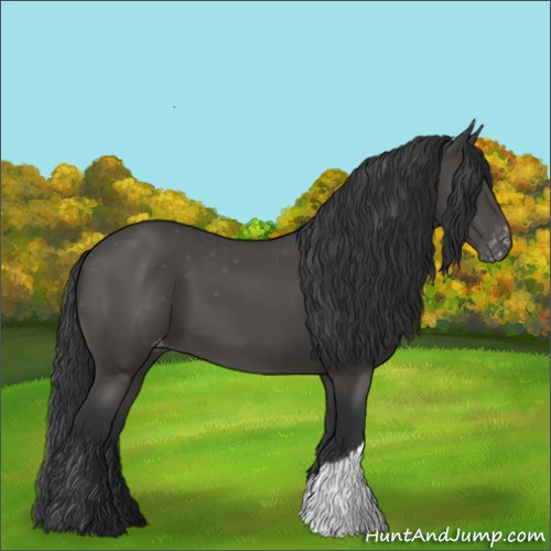 Horse Color:Black Varnish