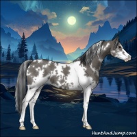 Horse Color:White Spotted Grullo Sabino 